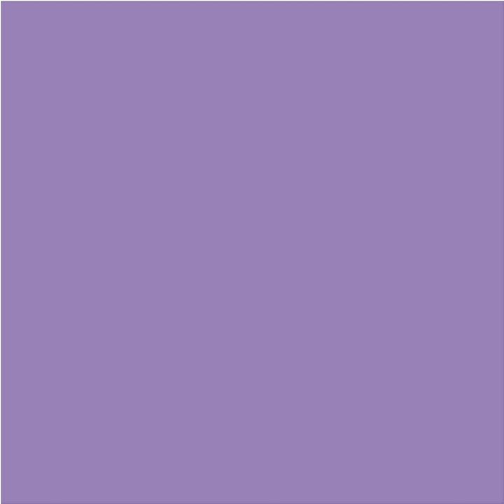 Immagine prodotto Creativ Company Carta velina viola chiaro 10 fogli 14 gr, 50x70cm (14 g/m², 10 x)