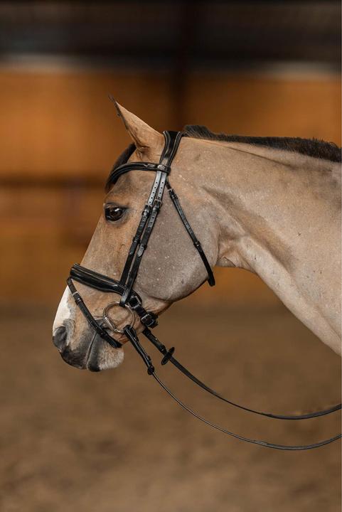 Image du produit HFI Master Pro Line Verona