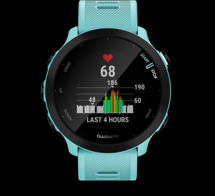 Productafbeelding Garmin Forerunner 55 (42 mm)