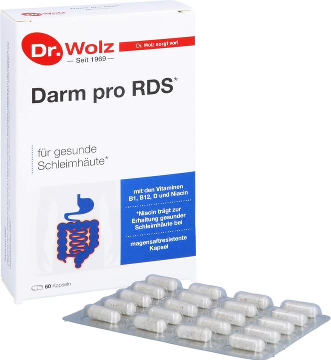 Produktbild Dr. Wolz Darm Pro Rds (60 Stück, 1053 ml, 75 g)