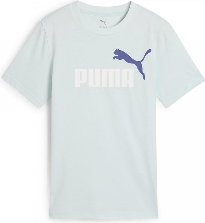 Puma ESS 2 COLOR No.1 Logo Tee B (176)