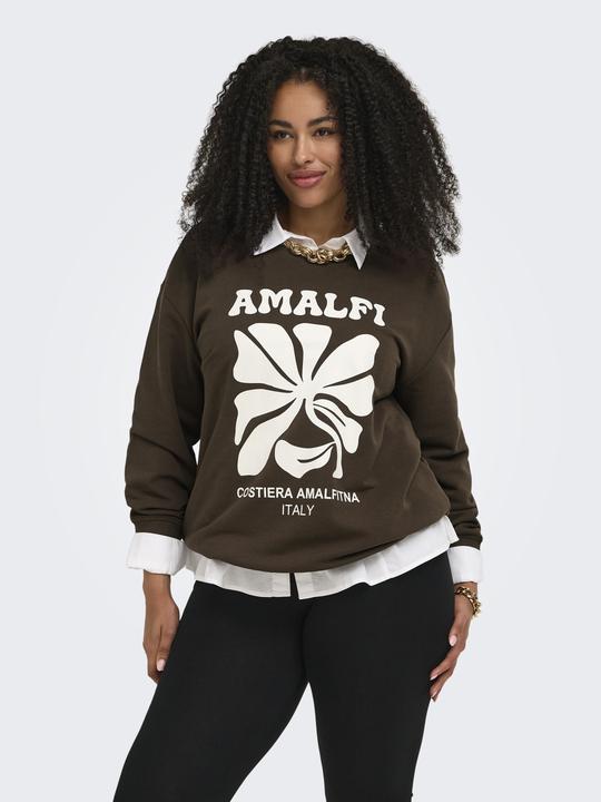 Image du produit Only CARESMARA Sweatshirt Sweatshirt (M)