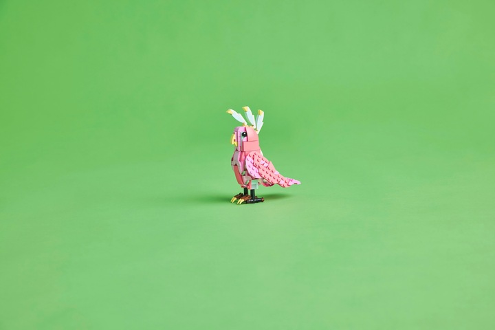 Immagine prodotto LEGO Wilde Tiere: Rosa Flamingo (31170, LEGO Creator Expert)