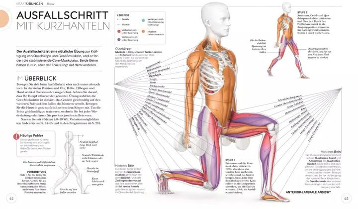 Produktbild Krafttraining – Die Anatomie verstehen (Deutsch, Austin Current, 2021)
