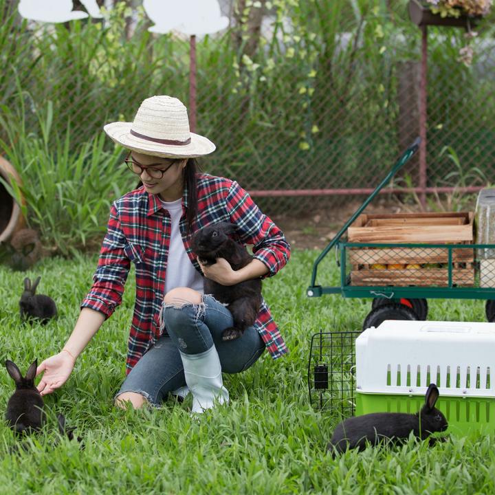 Produktbild Relaxdays Whisky Set