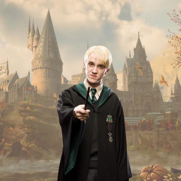 Actual product image Noble Collection Harry Potter Zauberstab Draco Malfoy (Charakter-Edition)