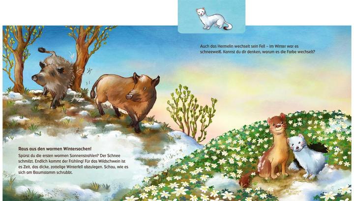 Immagine prodotto Cosa fanno gli animali in primavera? (Anna Karina Birkenstock, Tedesco)