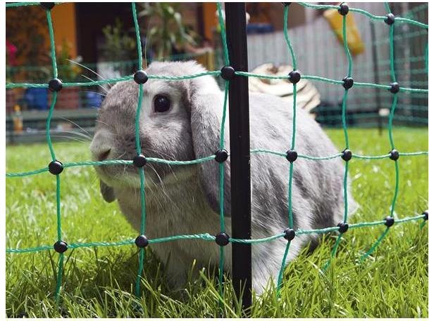Actual product image AKO Electric fence rabbit net