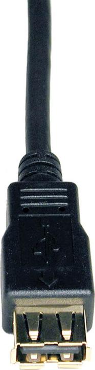 Produktbild Eaton USB 2.0 Extension Cable A M/F 10ft. 3,05m (3 m, USB 2.0)