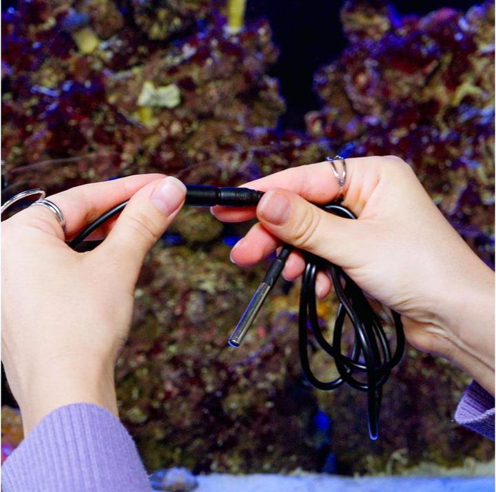 Produktbild Shelly · The Pill · Temperatursensor DS18B20 3,5 mm Jack 1m Kabel