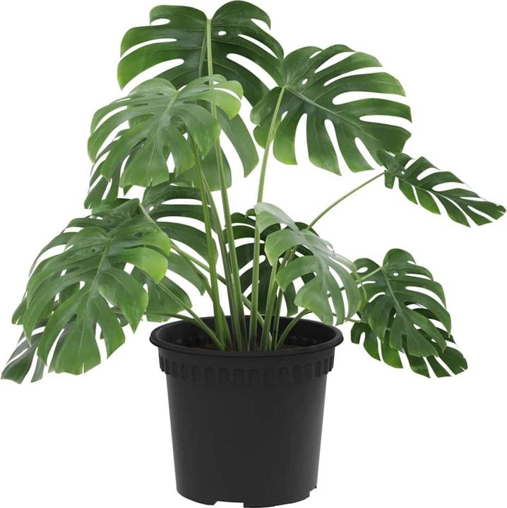 Produktbild vidaXL Modernes Pflanzgefäss (12.50 x 12.50 x 10 cm)