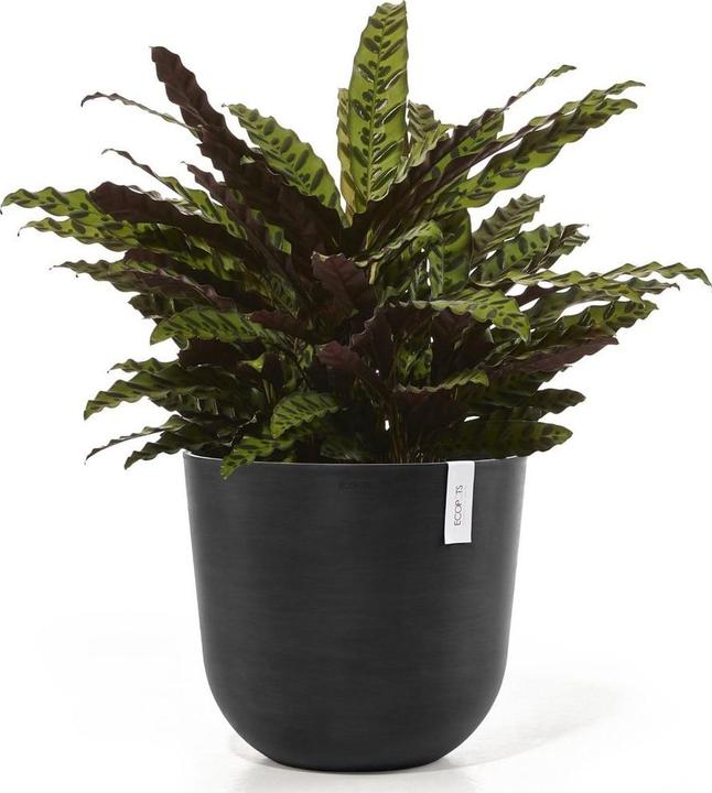 Produktbild Ecopots Oslo (45 x 39 cm)