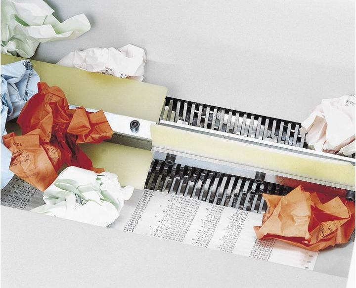 Immagine prodotto Ideal Tritatutto 4606 CC / 2 x 15 mm (Taglio delle particelle)