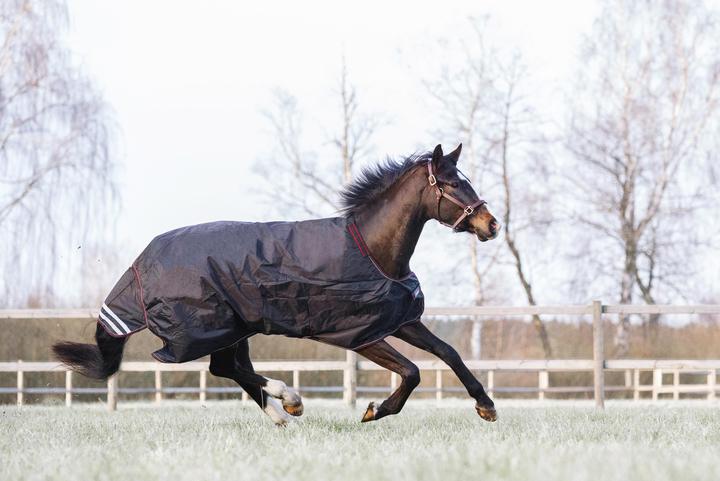 Produktbild Catago Dual Pro 100 g (145 cm)