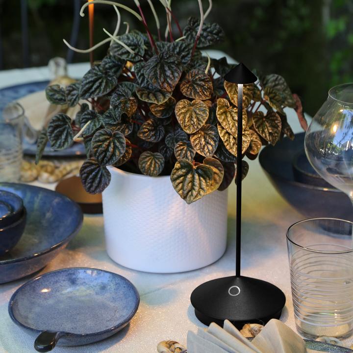 Produktbild Zafferano Pina tischleuchte - Schwarz (178 lm)