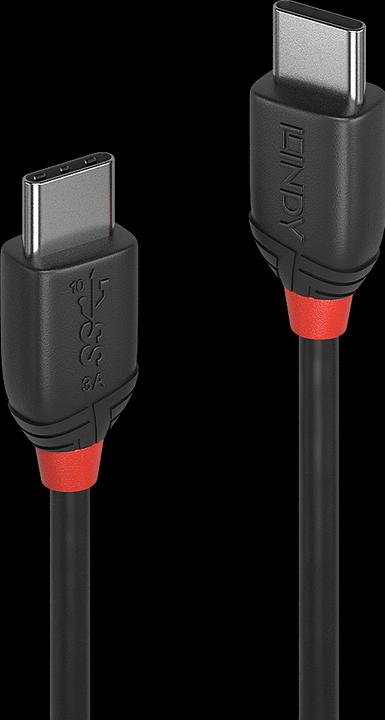 Actual product image Lindy black line (0.50 m, USB 3.1, 60 W)