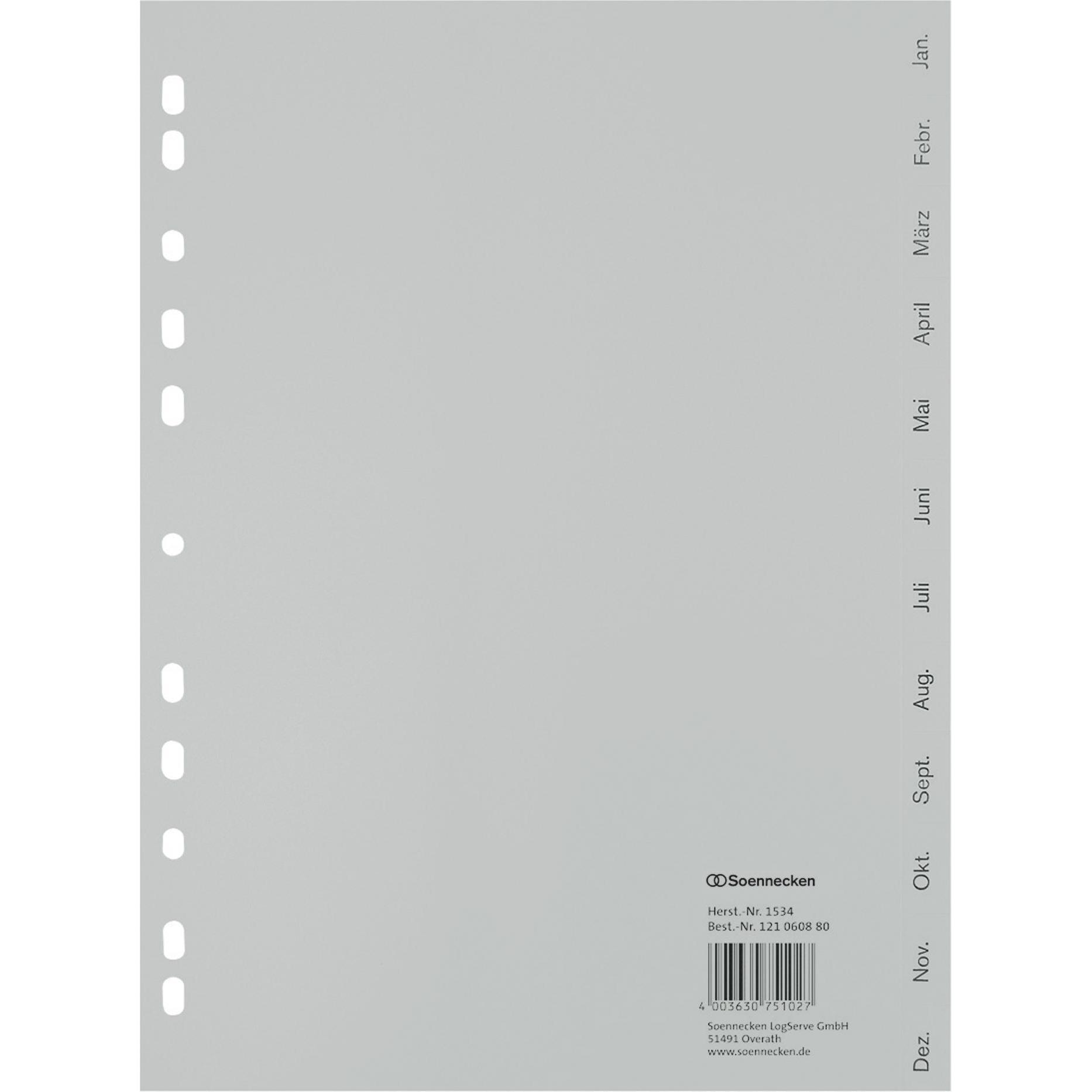 Soennecken Monatsregister Masse: 22,5 x 29,7 cm (B x H) Verwendung für Papierformat: DIN A4 (1534)