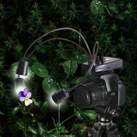 Image du produit Falcon Eyes Macro LED Lampe DV-3B