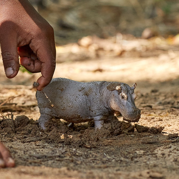 Actual product image Schleich Hippo