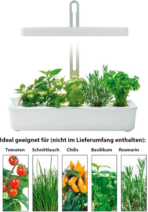 Immagine prodotto Northpoint Sistema di coltivazione idroponica a LED (LED, 220 V)