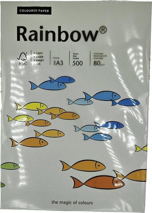 Productafbeelding Rainbow Multifunctioneel papier Kleur DIN A3 80g/m² grijs 500 vel/verpakking. (80 g/m², 500 x, A3)