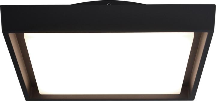Productafbeelding Näve LED Buitenwandlamp IP54 Mio s:34cm (2500 lm, IP54)