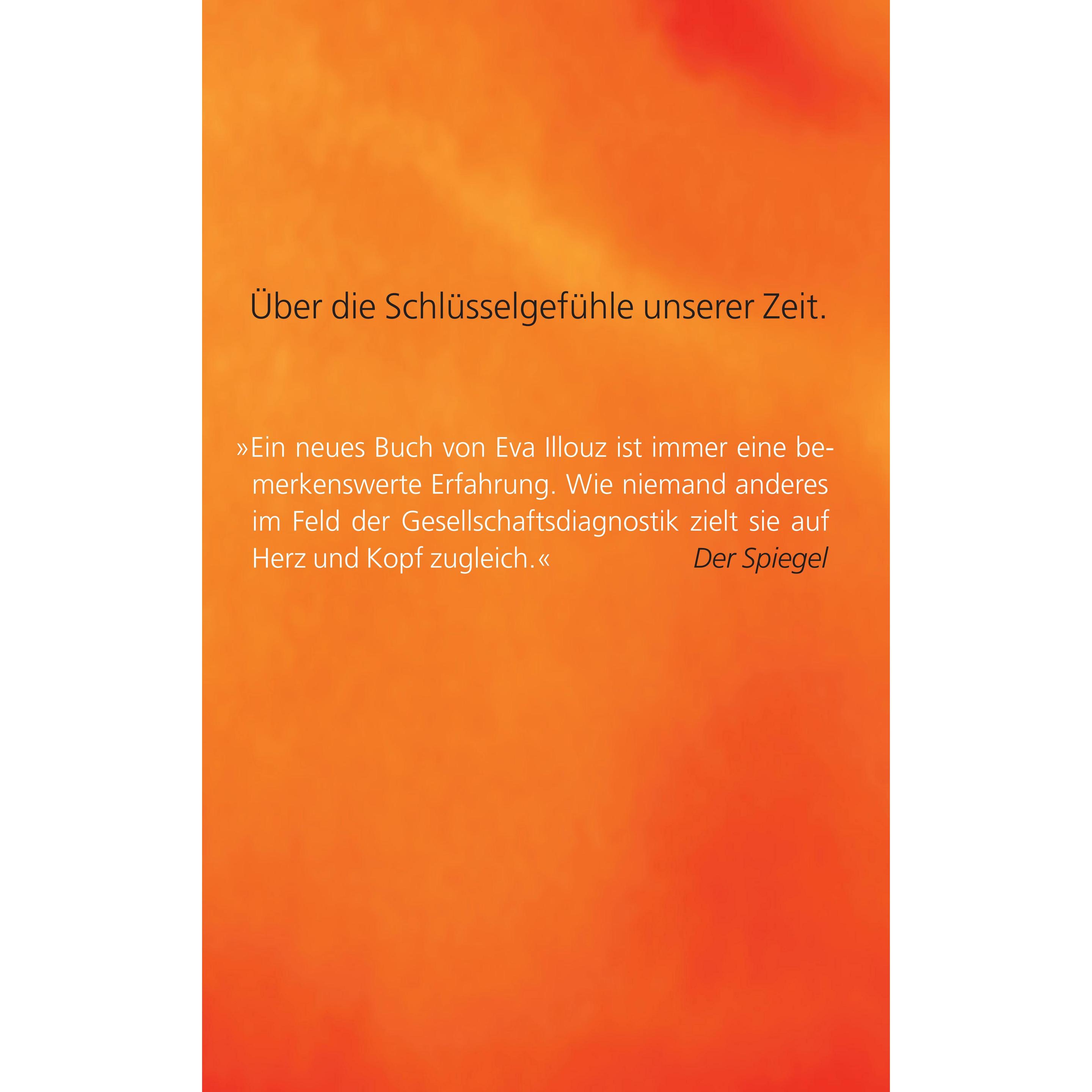 Explosive Moderne, Fachbücher von Eva Illouz
