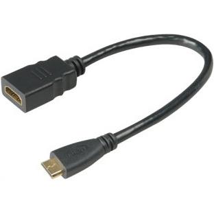 Akasa HDMI/Mini HDMI, HDMI-Kabel HDMI Typ A (Standard) HDMI Type C (Mini) (0.25 m, HDMI), Video Kabel