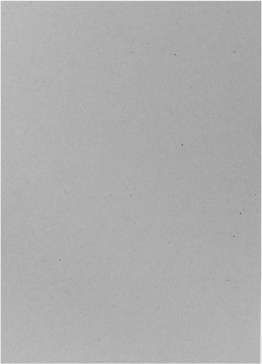 Produktbild Scaldia Einlagekarton (50 Stk.)