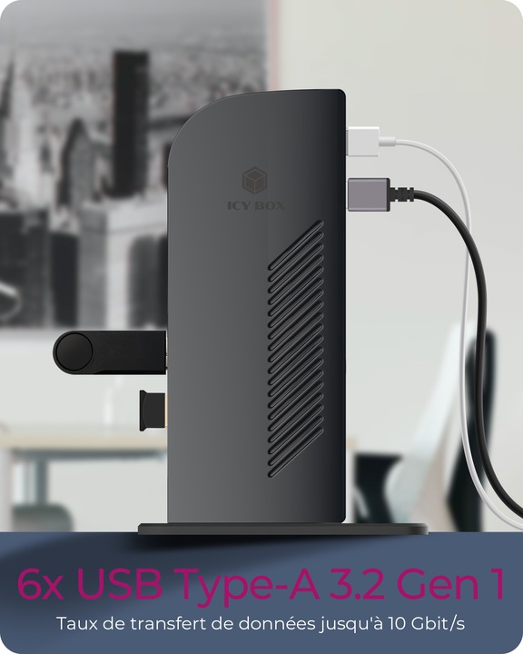 Immagine prodotto Icy Box Ib-Dk2242ac (USB-B, 6 Porti)