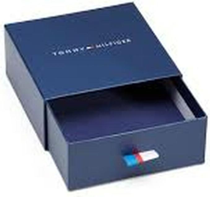 Produktbild Tommy Hilfiger Sliding Chains Ohrringe (Edelstahl)