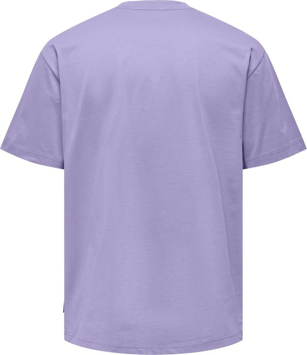 Actual product image Only & Sons Onsfred Life Rlx Ss Tee Noos (L)