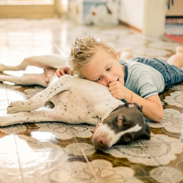 Actual product image Thomas Motyon Boxer (Wet dry vacuum cleaner)