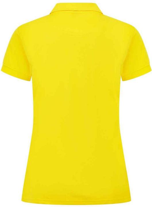 Image du produit Henbury - Polo - Femme (M)
