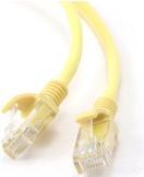 Image du produit Gembird Câble de raccordement (UTP, CAT5e, 0.25 m)
