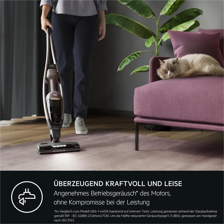 Produktbild AEG Akku-Staubsauger AS62A252XN 900402083