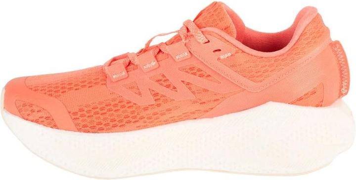 Actual product image Salomon Aero Glide Laufschuhe (40)