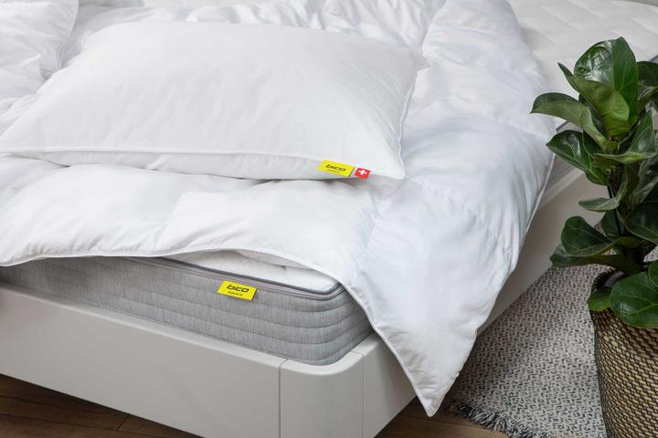 Immagine prodotto bico Primaloft Bio (50 x 70 cm)