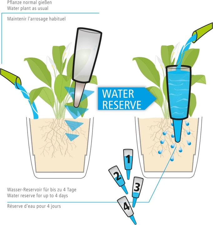 Produktbild Scheurich Wasserspender Copa XL | 2x Transparent | 500 ml Füllmenge | Bewässerungskugel klein mit (Bewässerungskugeln)
