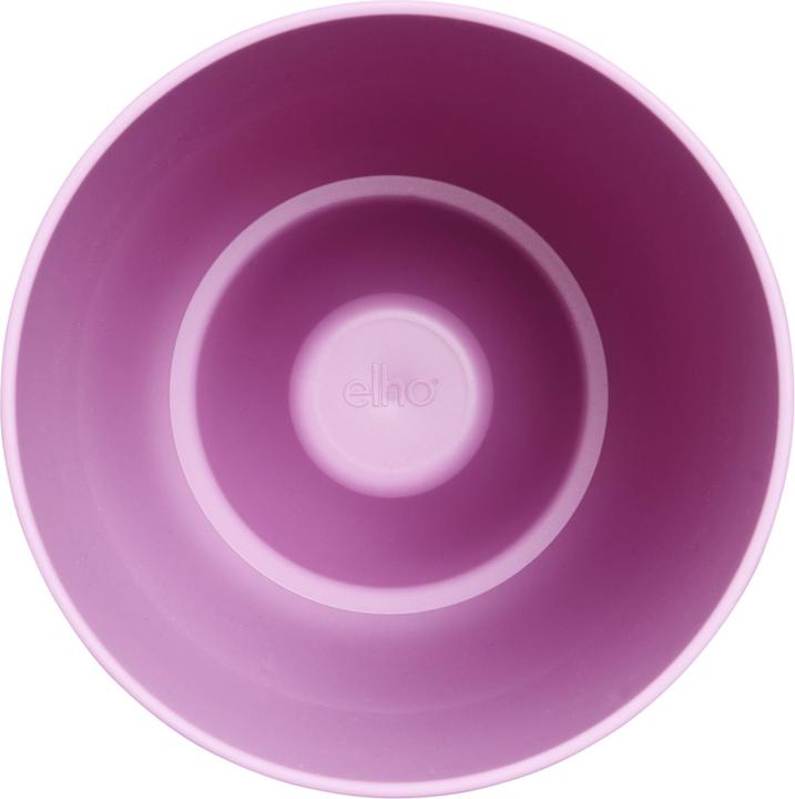 Produktbild Elho Brussels Orchidee Hoch (13 cm)