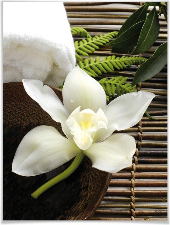 Produktbild Trenddeko Wellness Orchidee (50 x 60 cm)