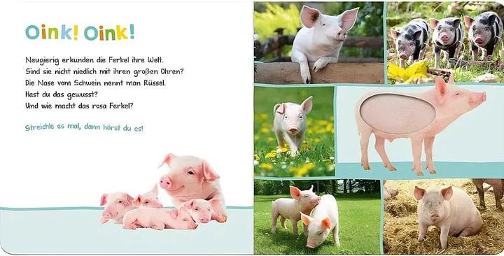 Actual product image Listen, who could that be? Farm animals (German)