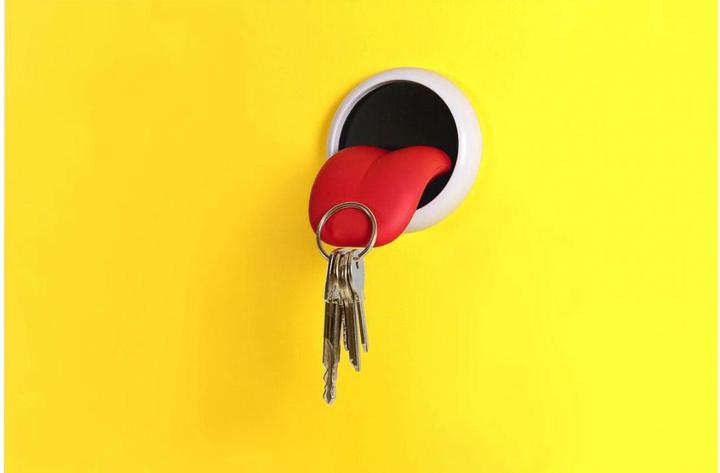 Actual product image TOP key holder