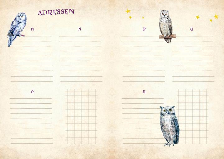 Image du produit AGENDA HARRY POTTER 2024/2025 (15,5 x 21 cm)