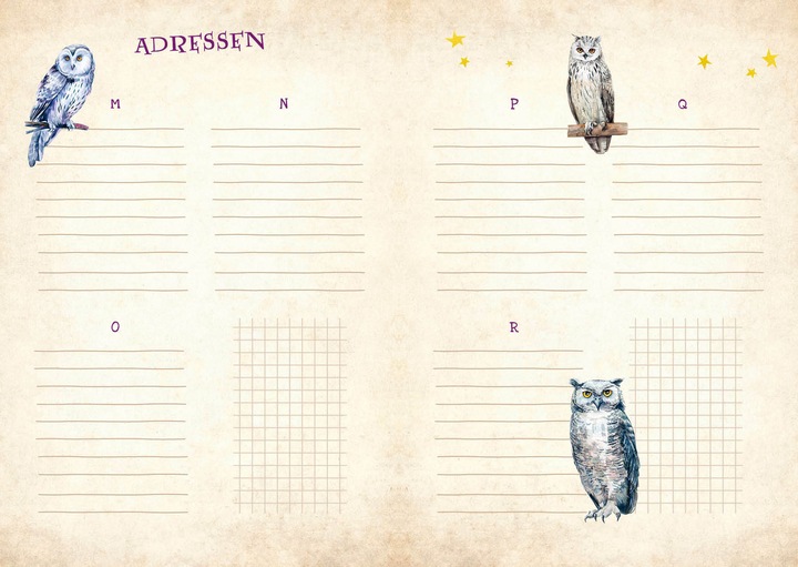 Image du produit AGENDA HARRY POTTER 2024/2025 (15,5 x 21 cm, Couverture rigide, Allemand)