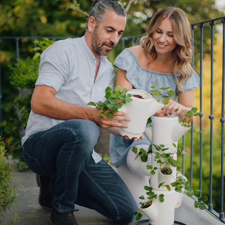 Actual product image Gusta Garden Sisi Strawberry (77 x 27 x 77 cm)