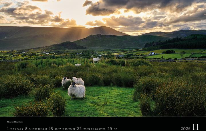 Produktbild Irland 2026