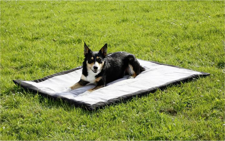 Image du produit Kerbl Trip (Chien)