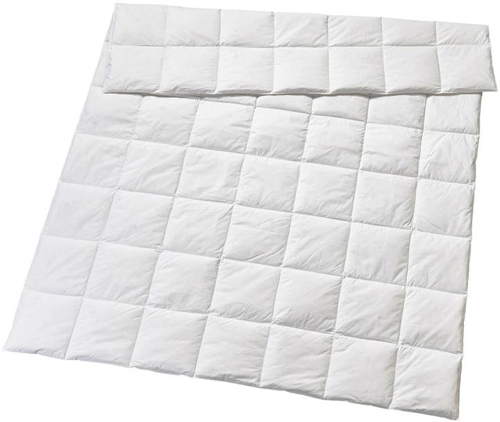 Image du produit Billerbeck Edition Bellanora 4-Saisons (600 g, 160 x 210 cm, Duvet)