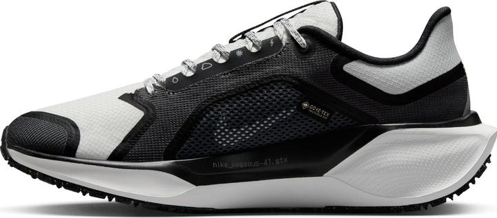 Produktbild Nike Pegasus 41 Goretex (41)